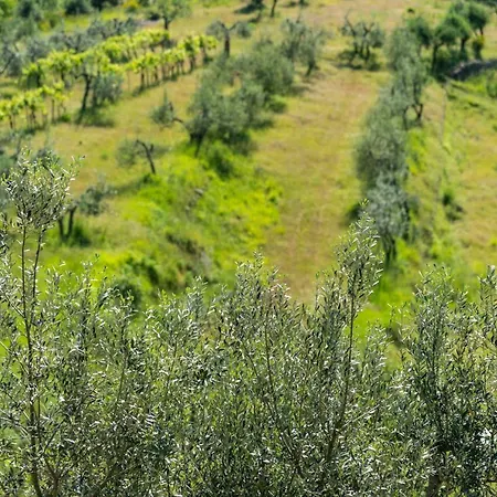 Lantgård La Rimbecca Greve in Chianti
