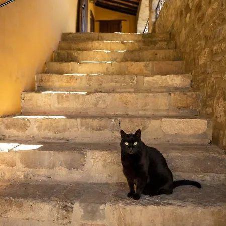 La Rimbecca Gospodarstwo agroturystyczne Greve in Chianti