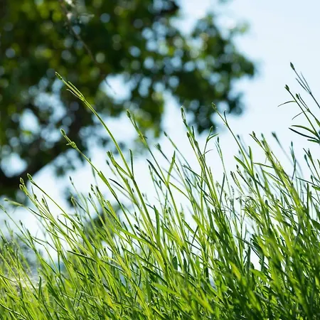 La Rimbecca Gospodarstwo agroturystyczne Greve in Chianti