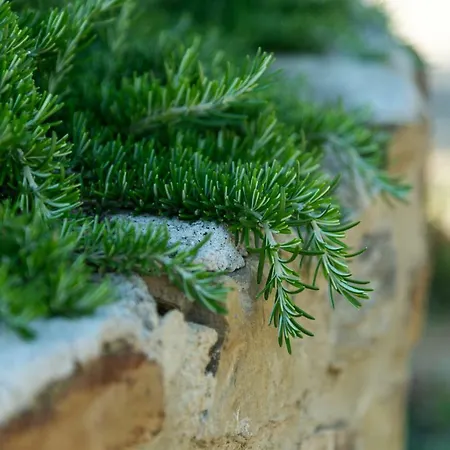 La Rimbecca Gospodarstwo agroturystyczne *