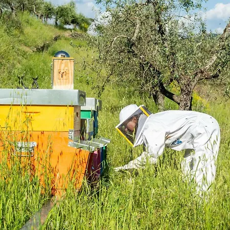 La Rimbecca Gospodarstwo agroturystyczne